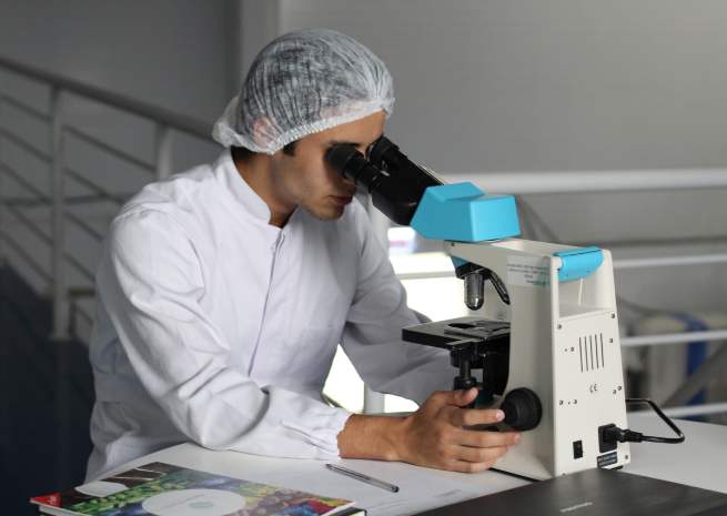 Antimicrobial activity of marine brown algae