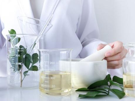 Fucoidan Against COVID-19: How Seaweed Compounds Could Help Fight the Virus