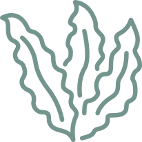 Rapid launch of unique products to the market