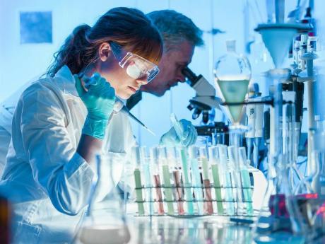 Fucoidan from Fucus vesiculosus can inhibit human norovirus replication by enhancing the host innate immune response