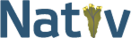 Натив